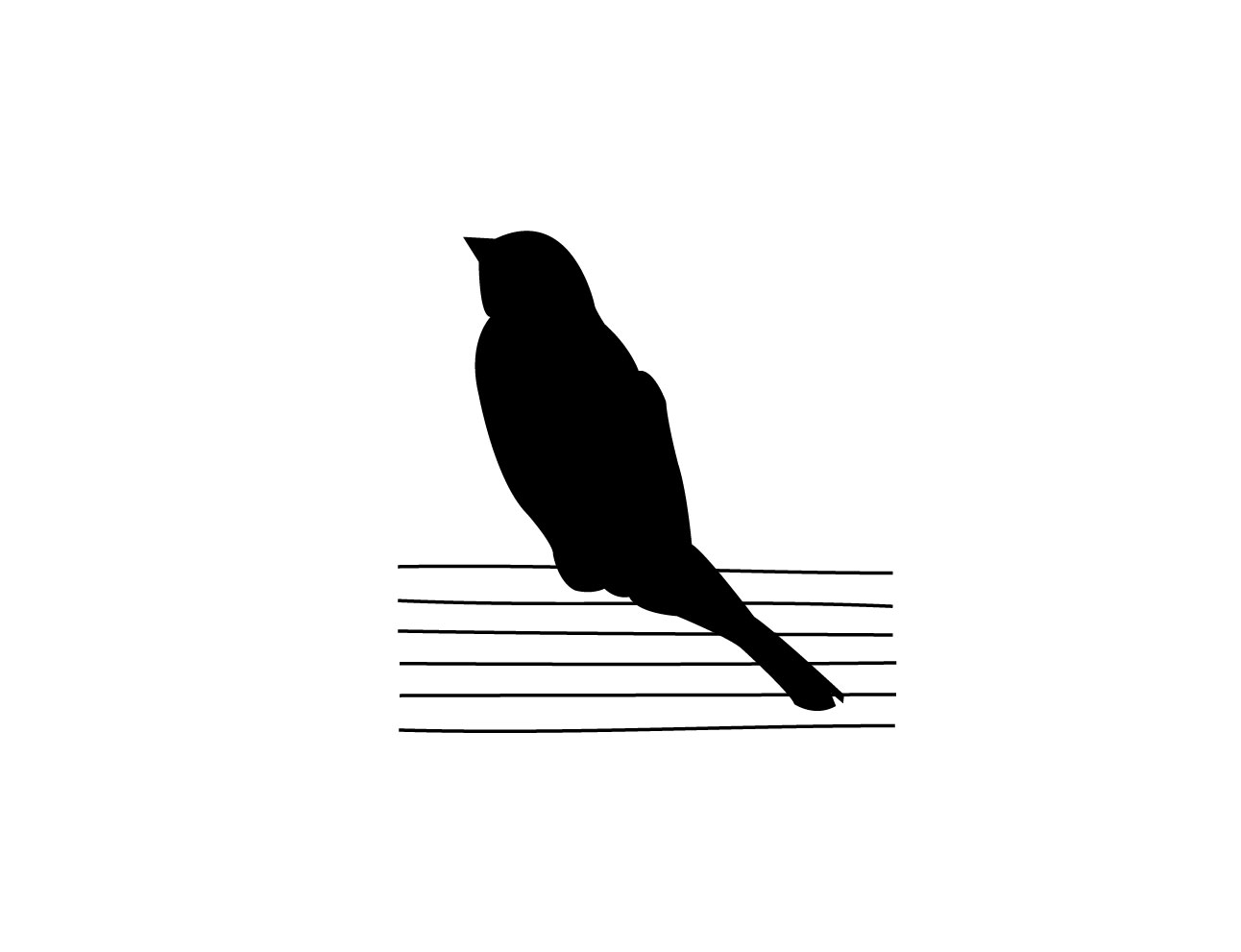 Logo for Bird on a Wire flute and guitar duo